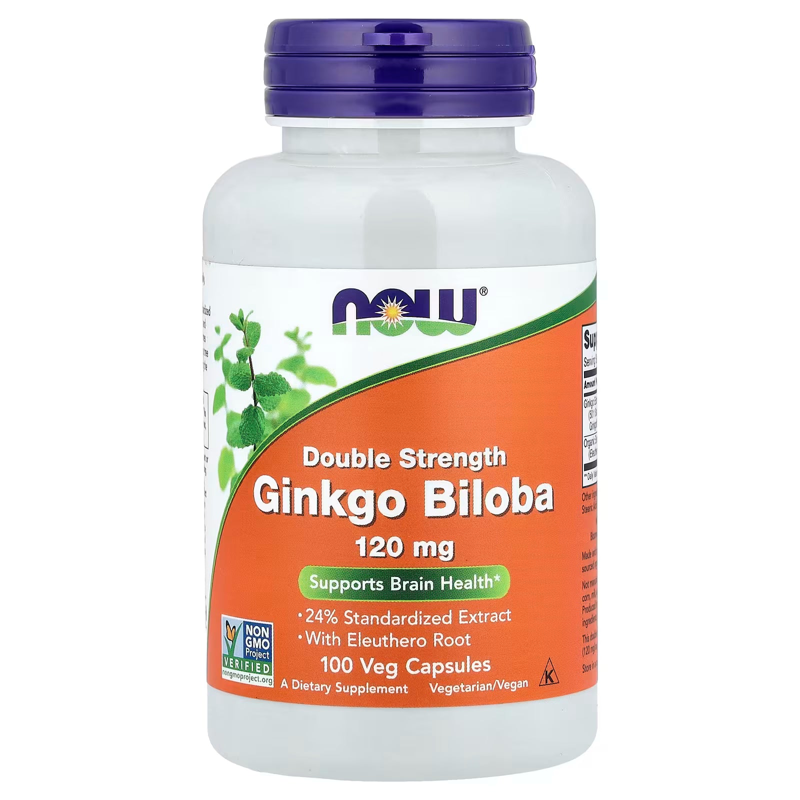 NOW Foods Double Strength Ginkgo Biloba 120mg with Eleuthero Root, 100 vegetarian capsules, supports brain health, on a clean white background, available at docxora.com Pakistan.