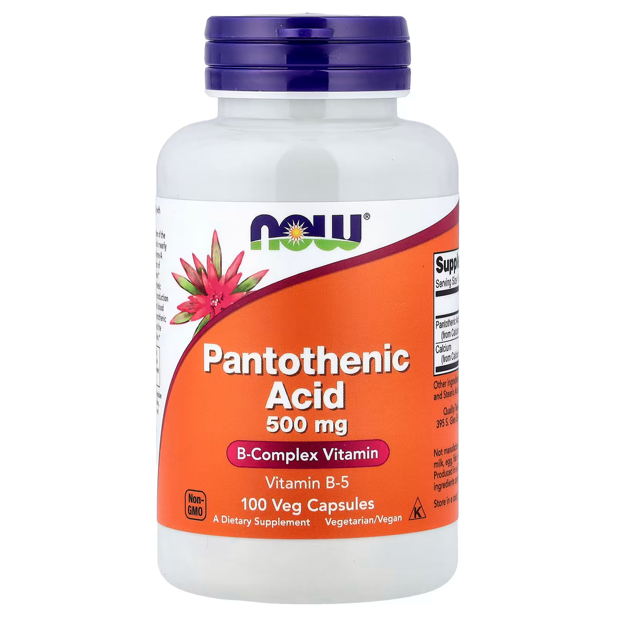 NOW Foods Pantothenic Acid 500 mg Vitamin B-5, 100 veg capsules bottle front view – docxora.com Pakistan