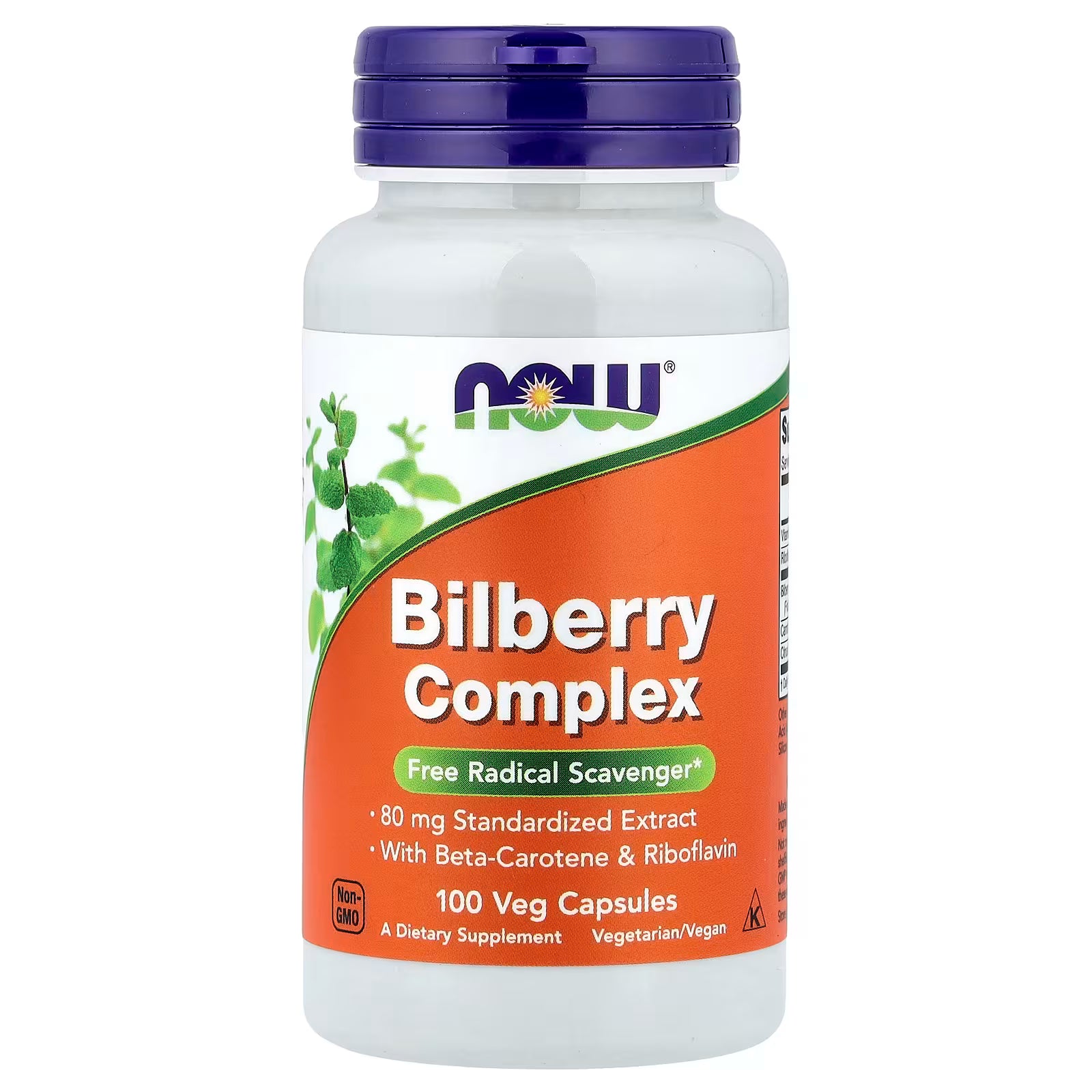 NOW Foods Bilberry Complex 100 Veg Capsules – 80mg Standardized Extract with Beta-Carotene & Riboflavin, Free Radical Scavenger, Vegetarian/Vegan, Non-GMO – Available at docxora.com Pakistan
