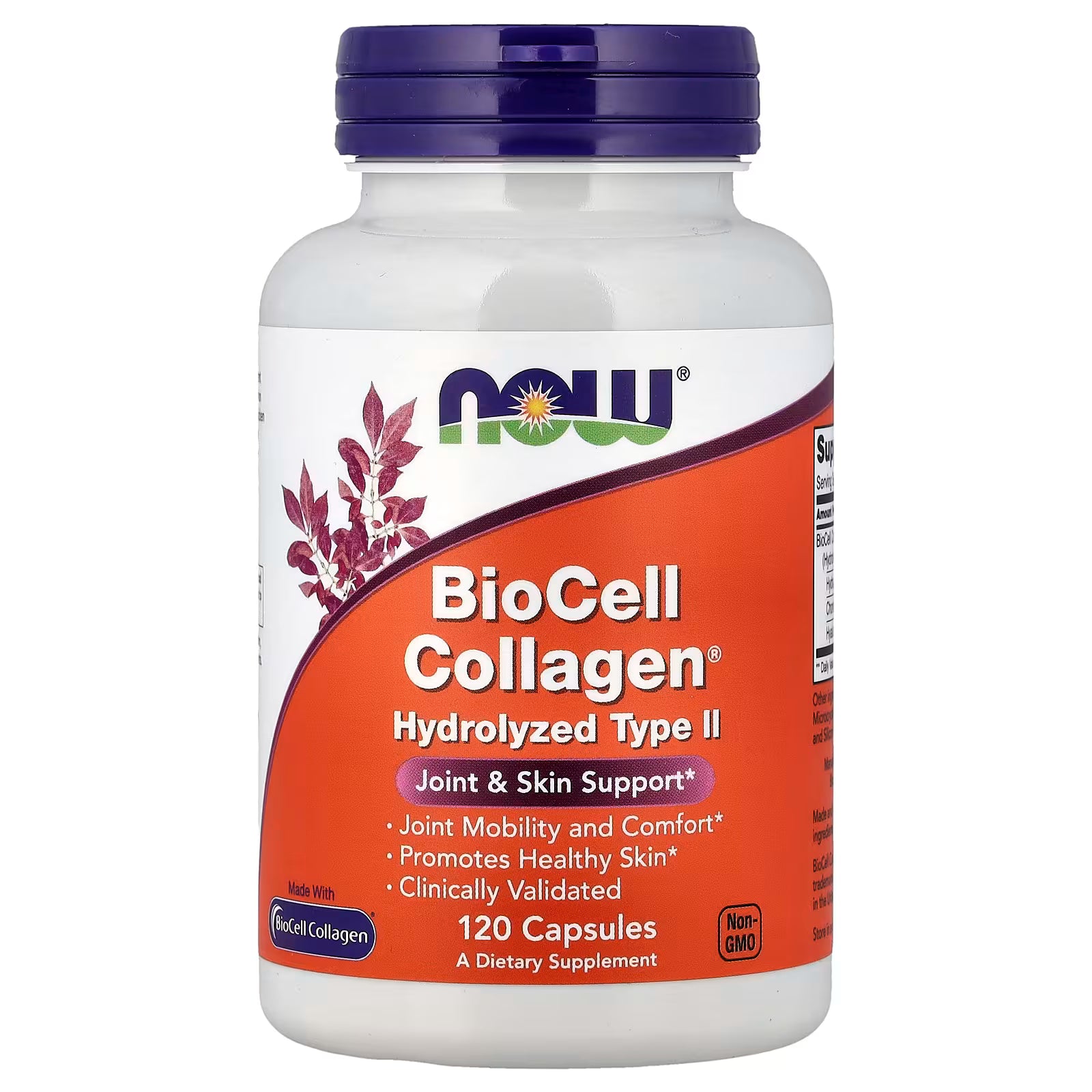 NOW Foods BioCell Collagen Hydrolyzed Type II 120 Capsules – Joint Mobility, Skin Support & Hyaluronic Acid – Available at docxora.com Pakistan

