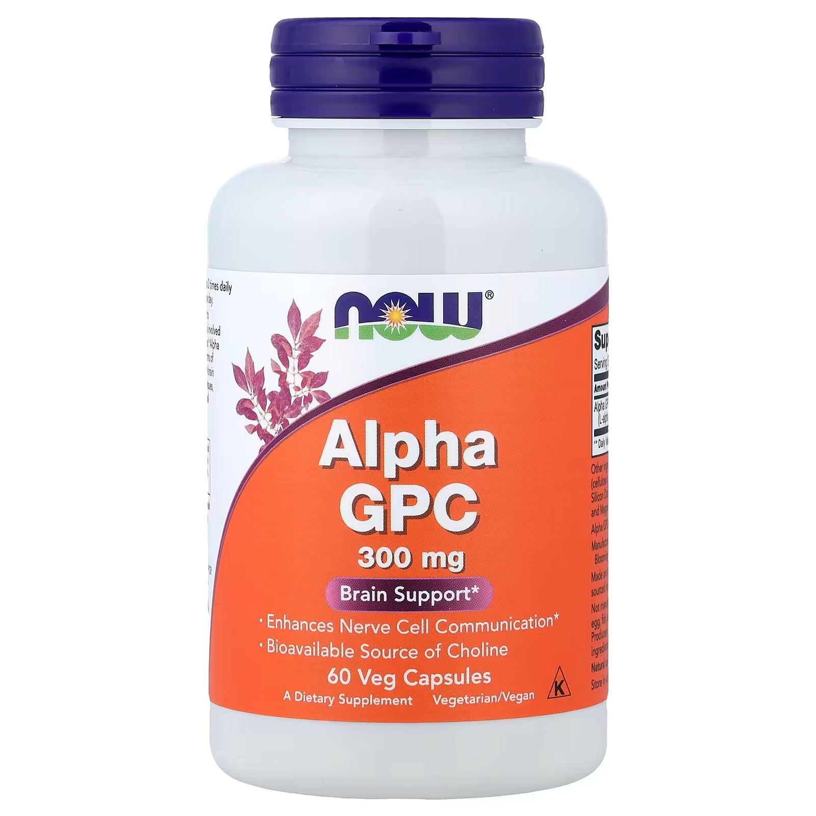 NOW Foods Alpha GPC 300mg 60 Veg Capsules – Brain Support, Enhances Nerve Cell Communication, Bioavailable Source of Choline, L-alpha-glycerylphosphorylcholine, Vegetarian/Vegan, Kosher – Available at docxora.com Pakistan
