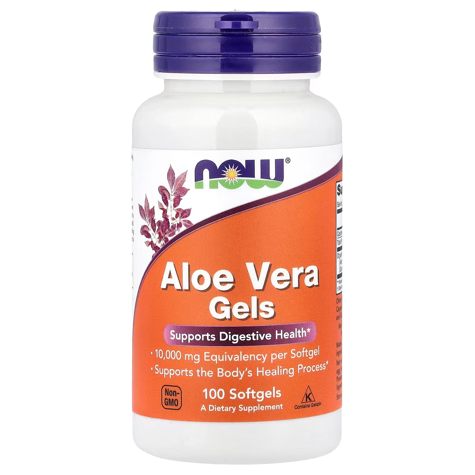 NOW Foods Aloe Vera Gels 100 Softgels – 10,000mg Equivalency, Supports Digestive Health & Body's Healing Process, Non-GMO Dietary Supplement by NOW Foods – Available at docxora.com Pakistan
