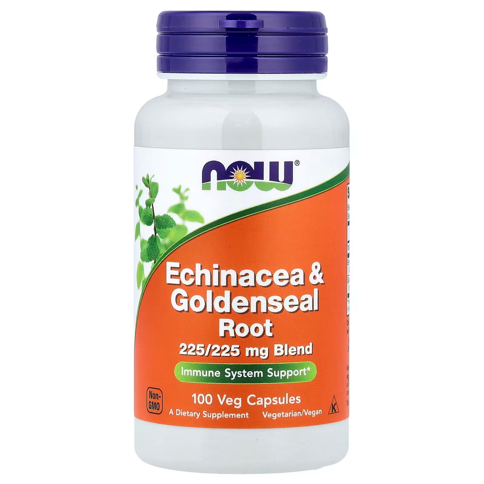 NOW Echinacea & Golden Seal Root 450mg Blend (100 Veg Capsules)