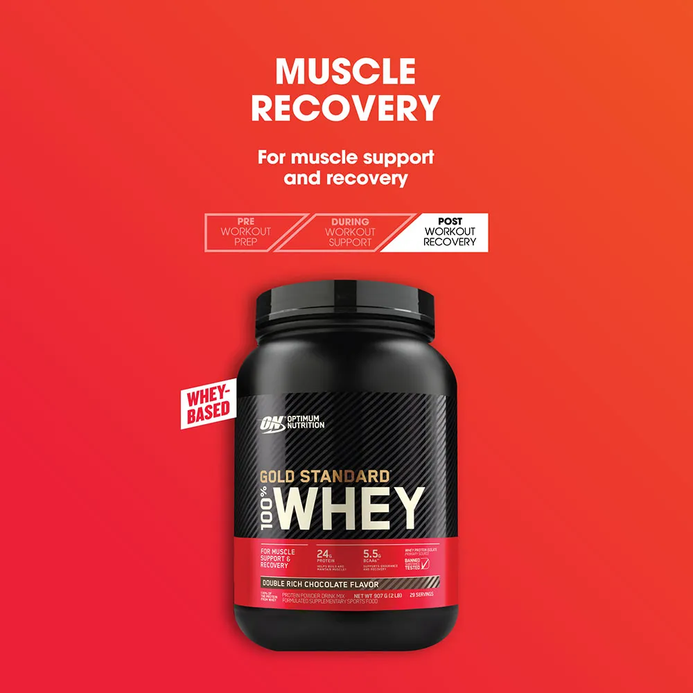 ON WHEY GOLD STANDARD DOUBLE CHOCLATE 5LBS (2.27KG) (71-SERVINGS)