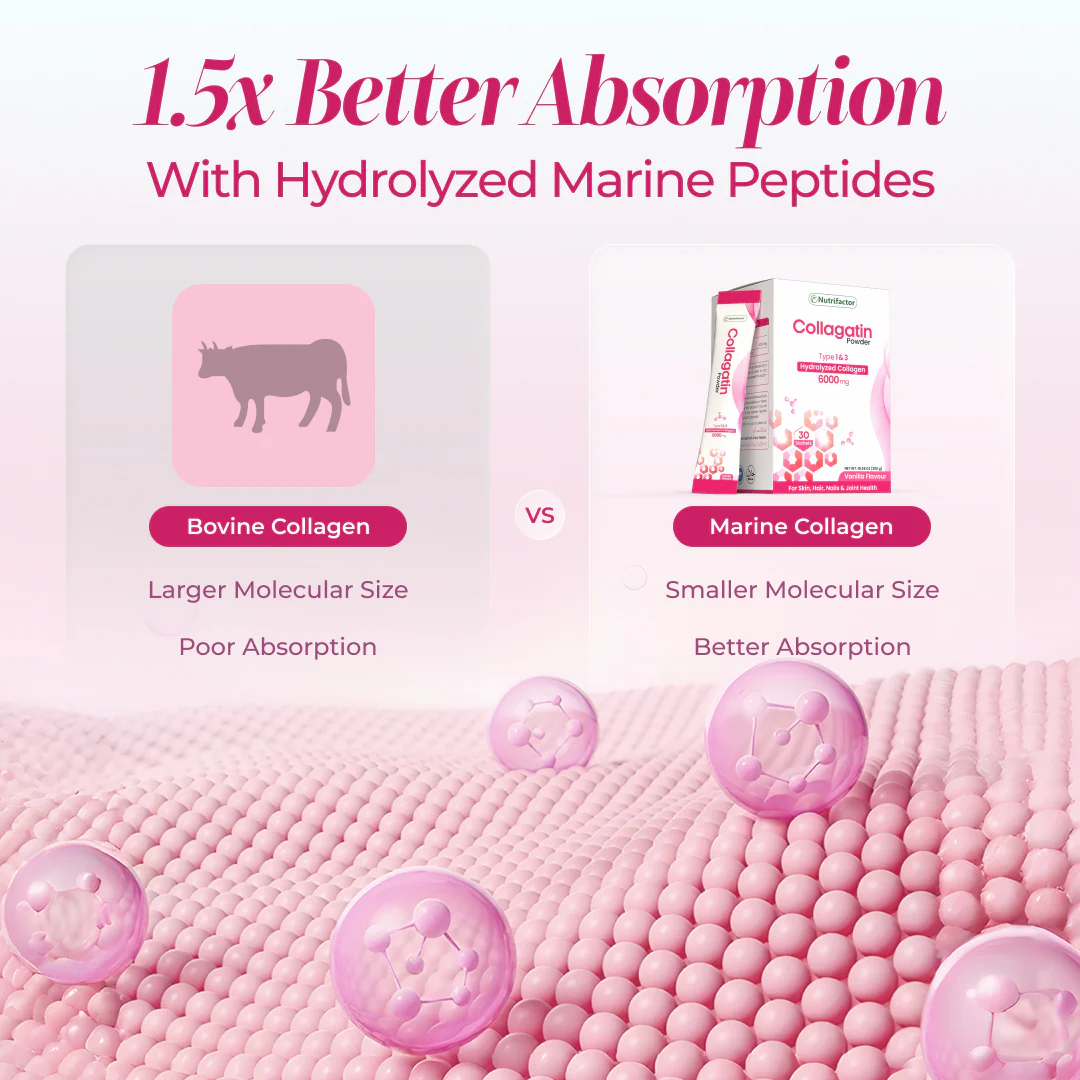 Nutrifactor Collagatin Marine Collagen vs Bovine Collagen comparison – 1.5x Better Absorption with Hydrolyzed Marine Peptides, Smaller Molecular Size for superior skin absorption – docxora.com Pakistan
